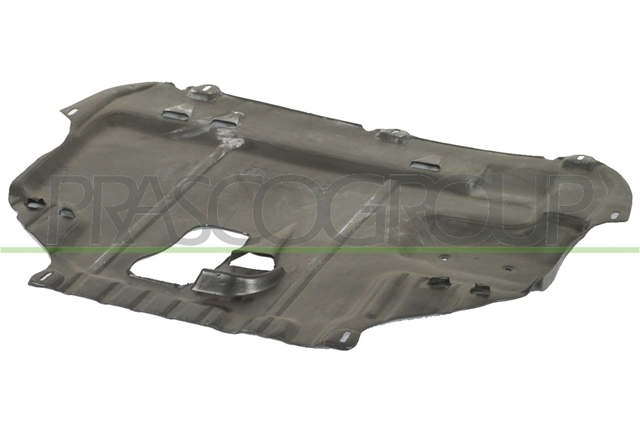 MATERIAL AMORTIZARE ZGOMOT, NISA MOTOR