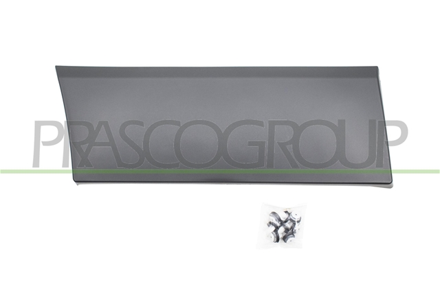Imagine pentru produsul „ELEMENTE DECORATIVE/PROTECTIE, ARIPA - PRASCO"