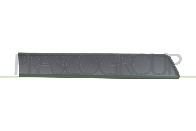 SP DR DOOR MOULDINGNEGRU WITH DOUBLE SIDED TAPE  NEMO  01/08  04/16