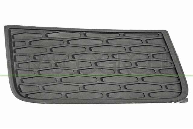 Imagine pentru produsul „RIGHT UPPER FRONT BUMPER GRILLE LAND ROVER - EVOQUE - MOD. 06/11 - 08/15-PRASCO CSNBB"
