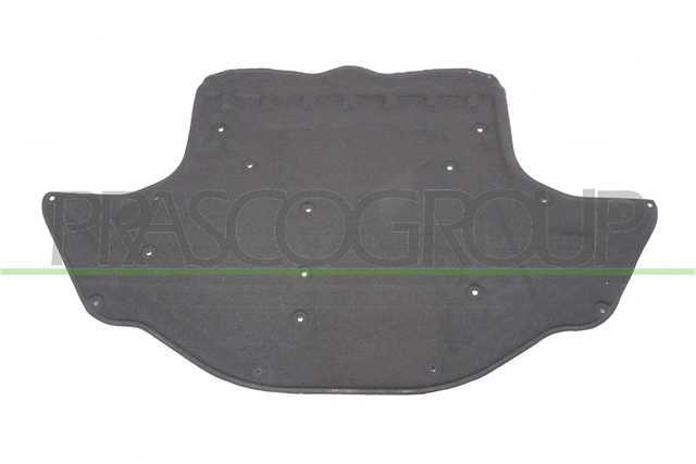 MATERIAL AMORTIZARE ZGOMOT, NISA MOTOR - PRASCO CSNBB