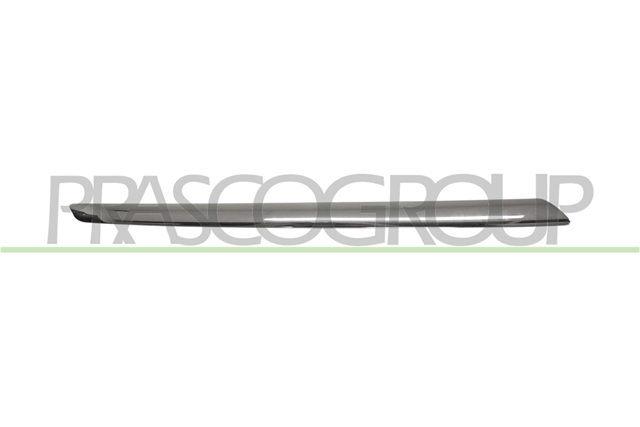 BANDA DE PROTECTIE, GRILA RADIATOR - PRASCO CSNBB