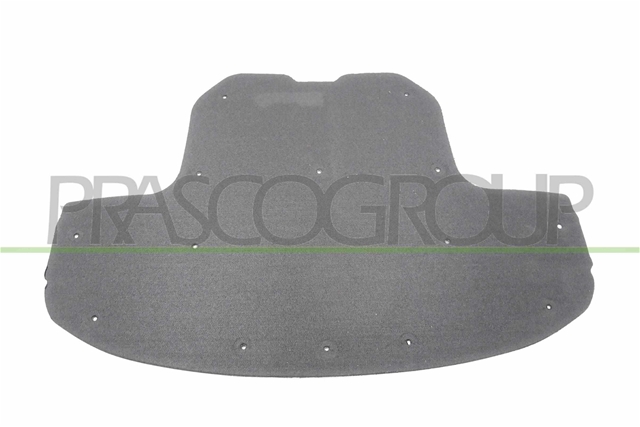 MATERIAL AMORTIZARE ZGOMOT, NISA MOTOR - PRASCO