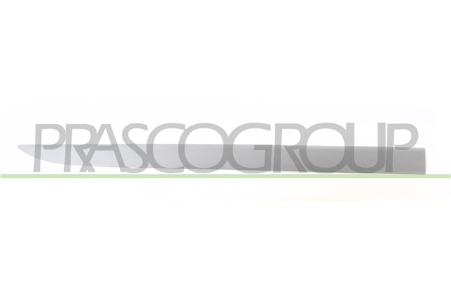 Imagine pentru produsul „ELEMENTE DECORATIVE/PROTECTIE, PORTIERA - PRASCO CSNBB"