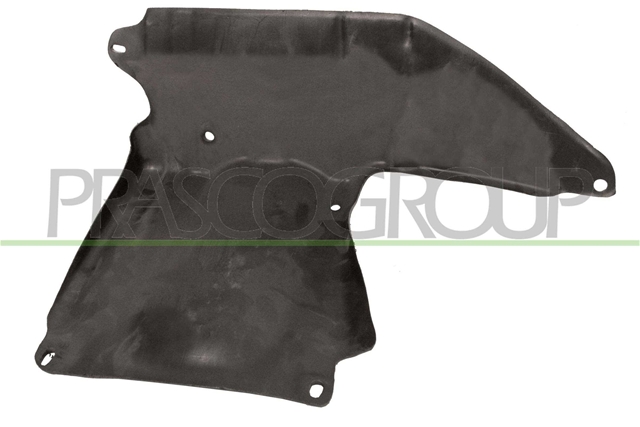 MATERIAL AMORTIZARE ZGOMOT, NISA MOTOR