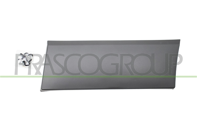 ELEMENTE DECORATIVE/PROTECTIE, ARIPA - PRASCO CSNBB
