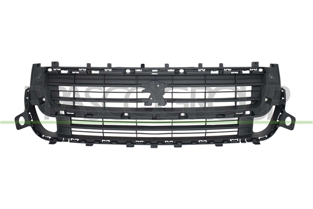 GRILA RADIATOR