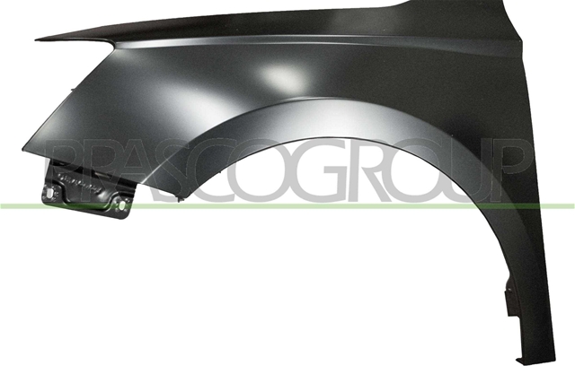 ARIPA ST FATA SKODA FABIA 01/15