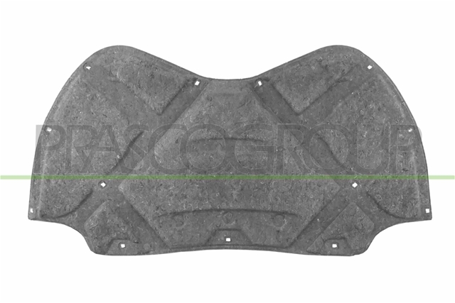 MATERIAL AMORTIZARE ZGOMOT, NISA MOTOR - PRASCO