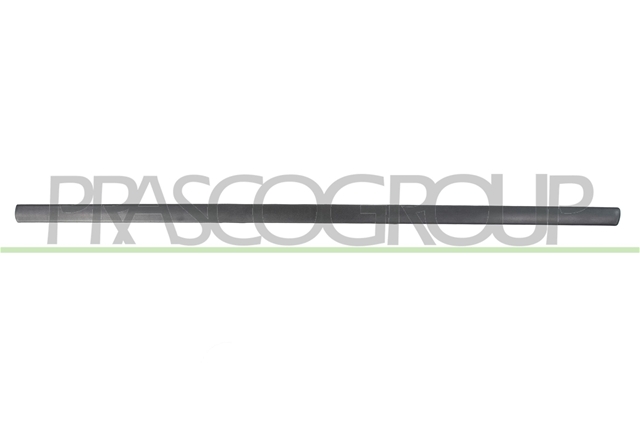 ELEMENTE DECORATIVE/PROTECTIE, PORTIERA - PRASCO CSNBB