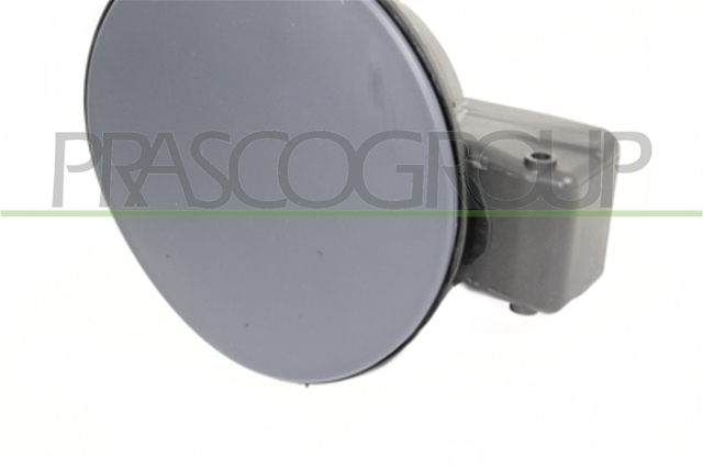 CAPAC ALIMENTARE POLO 2009 >>