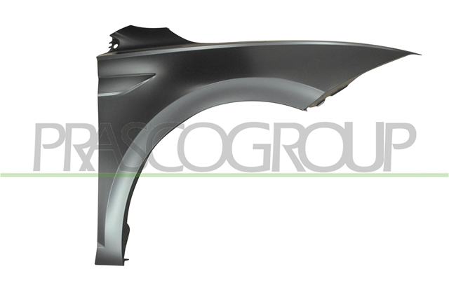 Imagine pentru produsul „FRONT RIGHT FENDER VOLKSWAGEN  POLO  MOD. 09/17"