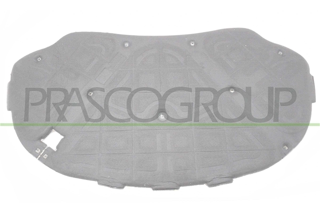 MATERIAL AMORTIZARE ZGOMOT, NISA MOTOR - PRASCO