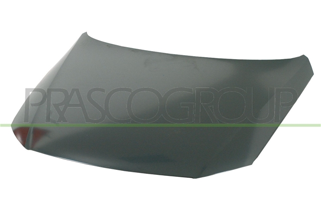 Imagine pentru produsul „CAPOTA  PASSAT   03/05>>"