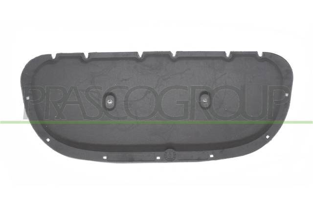 MATERIAL AMORTIZARE ZGOMOT, NISA MOTOR - PRASCO