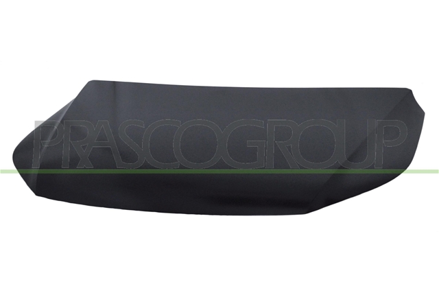 Imagine pentru produsul „BONNET VOLKSWAGEN  TIGUAN  MOD. 09/07  04/11"