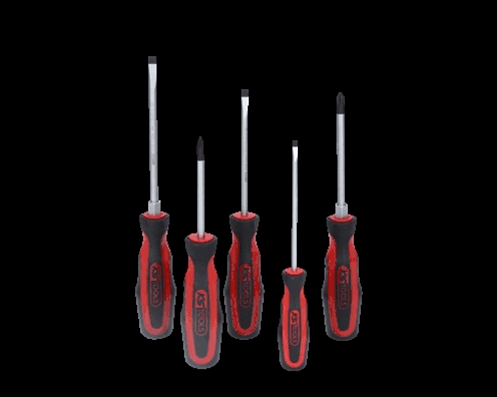 Imagine pentru produsul „SET SURUBELNITE ERGOTORQUEPLUS, 5 PCS"