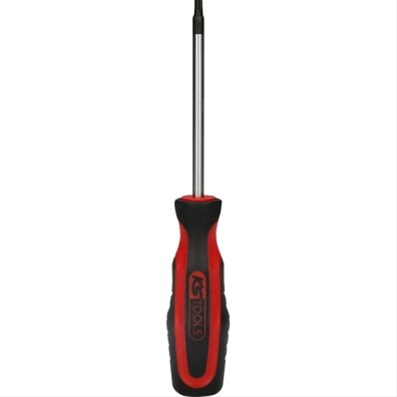 SURUBELNITA ERGOTORQUEPLUS, T30