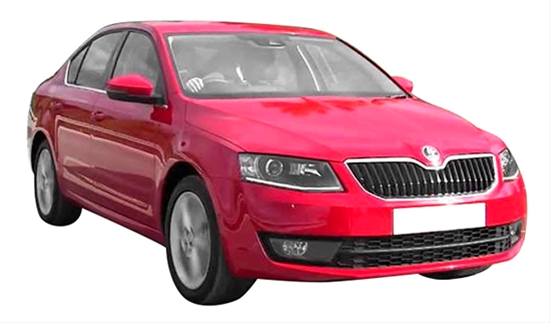 BARA SPATE NONGRUND OCTAVIA III 2013 >>