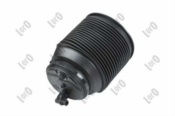 PERNA AER SP DR