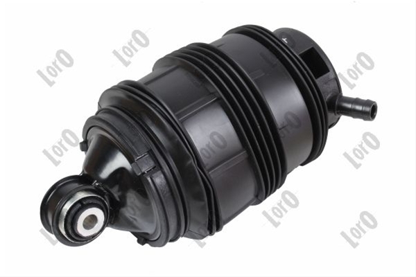 PERNA AER SP DR