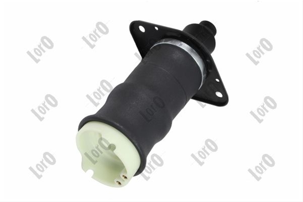 PERNA AER SP DR