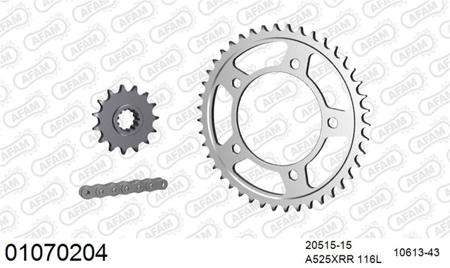 Imagine pentru produsul „KIT LANT HONDA CBF 600 S 20042007"