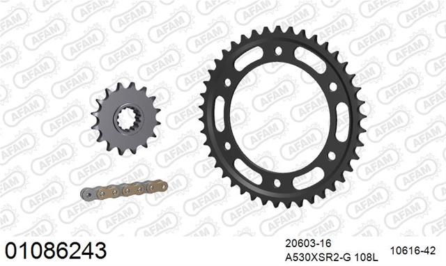 Imagine pentru produsul „KIT LANT HONDA CBR 900/929/954 RR 20002003"
