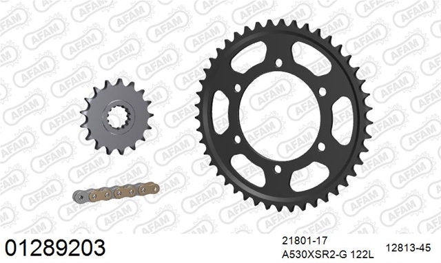 Imagine pentru produsul „KIT LANT YAMAHA FZ 1 S 20062015"