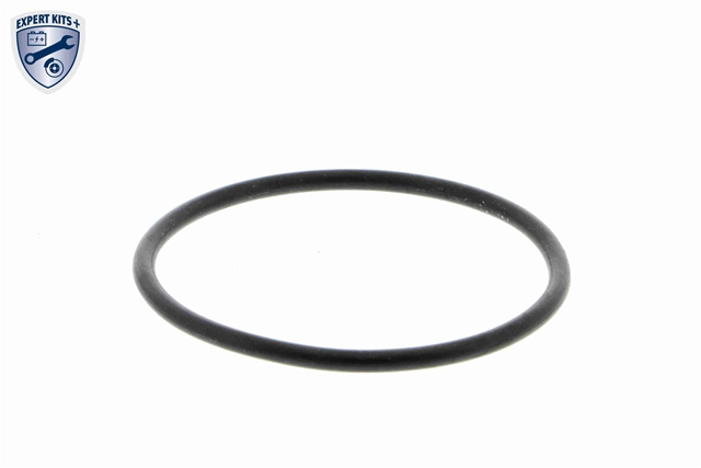 TERMOSTAT,LICHID RACIRE