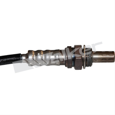 SONDA LAMBDA - WALKER